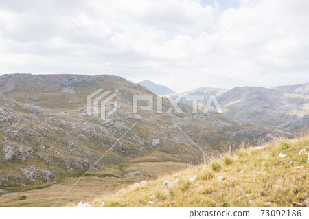 Beautiful natural landscape in the summer time 73092186