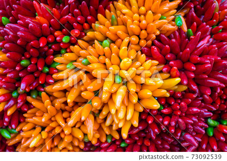 Red hot chilly pepers closeup background Red hot chilly pepers closeup background 73092539