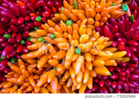 Red hot chilly pepers closeup background 73092666