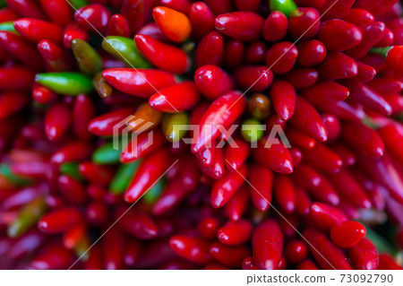Red hot chilly pepers closeup background 73092790