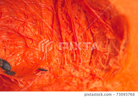 Orange pumpkin pulp and seeds Orange pumpkin pulp and seeds 73093768