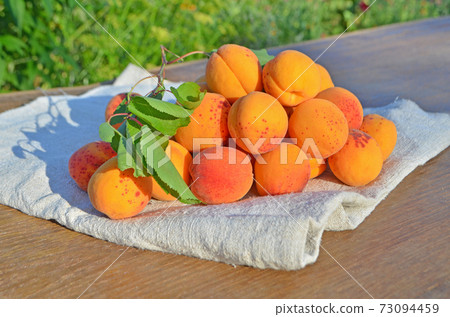 Ripe apricots on green background. Ripe apricots on green background. 73094459