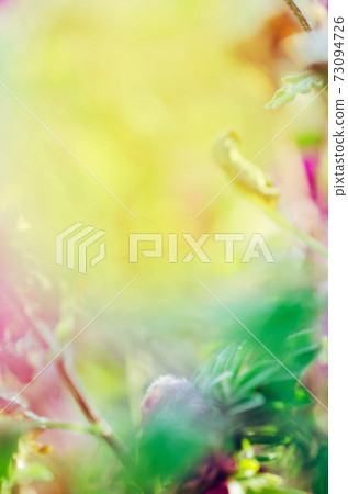 Blurry bokeh flower background 73094726