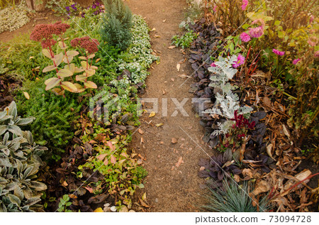 Natur fall garden growing. Autumn garden background 73094728