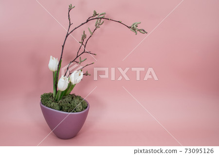 Image modern art flowers decoration ikebana for apartment, office, postcard, poster, Valentine's Day invitations, magazines. Floral decoration in the flower pot with tulips, branches isolated on pink  73095126