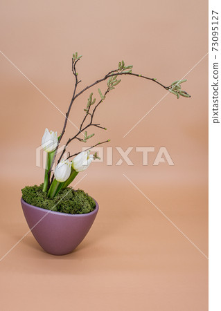 Image modern art flowers decoration ikebana for apartment, office, postcard, poster, Valentine's Day invitations, magazines. Floral decoration in the flower pot with tulips, branches isolated on pink Image modern art flowers decoration ikebana for apartment, office, postcard, poster, Valentine's Day invitations, magazines. Floral decoration in the flower pot with tulips, branches isolated on pink 73095127