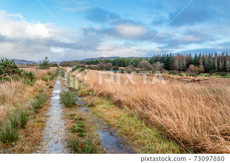 The way to Tullyard wood by Ardara in County Donegal - Ireland The way to Tullyard wood by Ardara in County Donegal - Ireland 73097880
