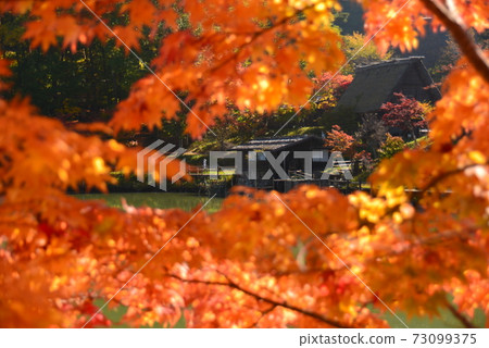 A hut seen through the leaves of the maple leaves 73099375