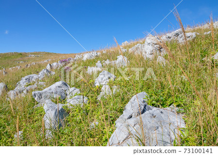 Landscape of Shikoku Karst 73100141