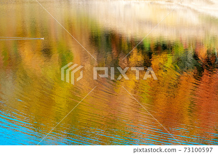 Image of autumn colors reflected on the surface of the water (Lake Onbara) 73100597