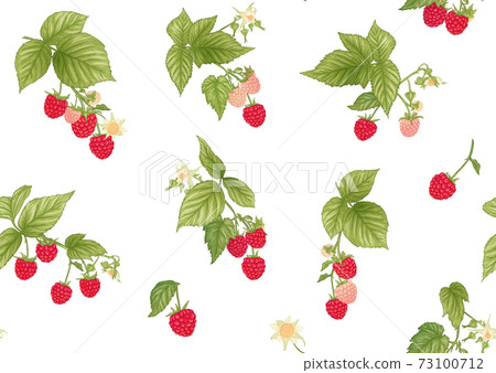 Raspberry. Ripe berries on branch. Seamless pattern, background. Raspberry. Ripe berries on branch. Seamless pattern, background. 73100712