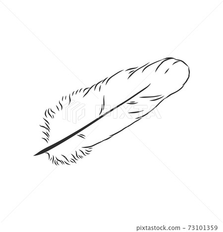 bird feathers. Hand drawn illustration converted to vector. Outline with transparent background, pen vector sketch illustration bird feathers. Hand drawn illustration converted to vector. Outline with transparent background, pen vector sketch illustration 73101359