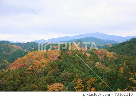 有色的Satoyama 有色的Satoyama 73102110