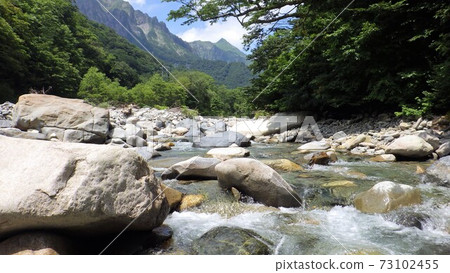 Summer mountain stream 73102455