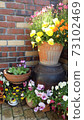 磚牆和鮮花 73102469