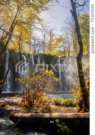 Waterfalls and trees of beautiful Plitvicka lakes 73103048