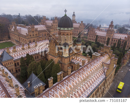 Chernivtsi University Aerial Shot at at Later Autumn in Moody Misty Weather Chernivtsi University Aerial Shot at at Later Autumn in Moody Misty Weather 73103187