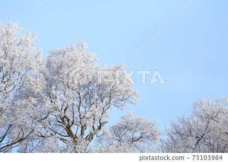 Foggy ice Foggy ice 73103984