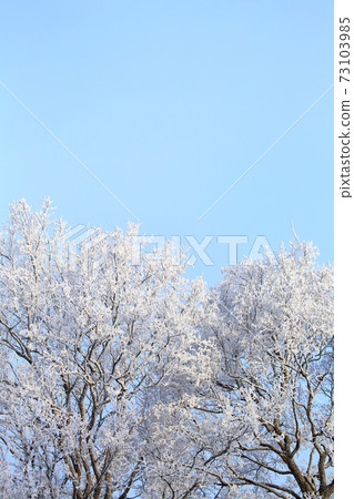 Foggy ice Foggy ice 73103985
