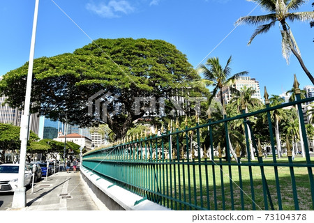 Holidays in Hawaii Holidays in Hawaii 73104378