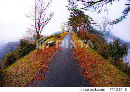 感受秋天的直路 感受秋天的直路 73105048