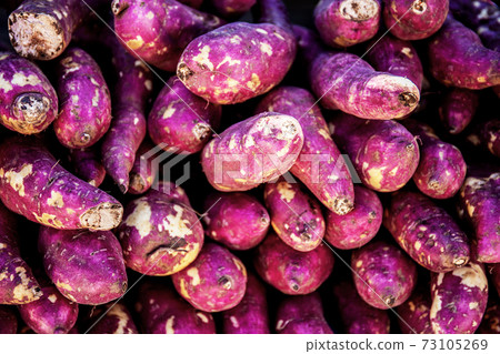 Yam with texture background. 73105269