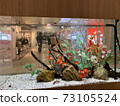 金魚也過年 73105524