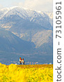 Snowy Mountain and Rape Field 73105961