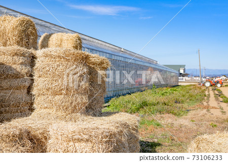 乙烯基房子和稻草卷 乙烯基房子和稻草卷 73106233