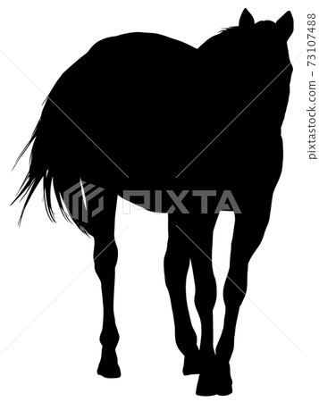 Walking thoroughbred silhouette Walking thoroughbred silhouette 73107488