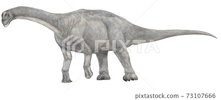 Illustration of the dinosaur Camarasaurus A sauropod that bred in North America in the late Jurassic period. 73107666