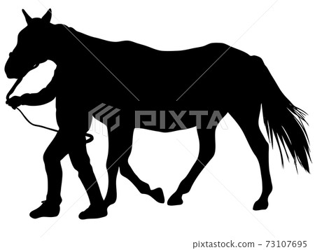 Thoroughbred doing a pulling exercise 73107695