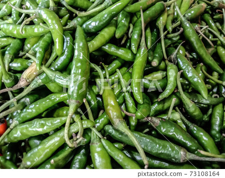 green hot spicy chili stock 73108164