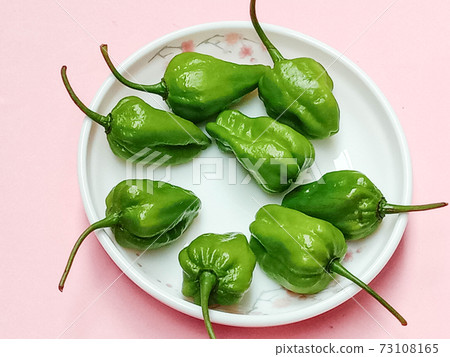 green hot spicy chili stock green hot spicy chili stock 73108165