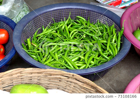 green hot spicy chili stock 73108166