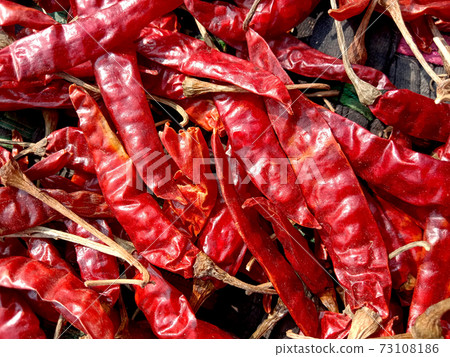 red hot spicy chili peppers stock red hot spicy chili peppers stock 73108186