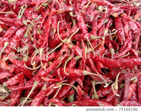 red hot spicy chili peppers stock red hot spicy chili peppers stock 73108190