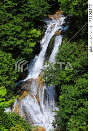 [Tochigi Prefecture] Fresh green Kirifuri Falls 73108847