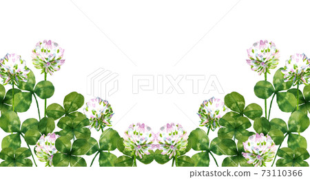 Watercolor illustration of white clover flowers Watercolor illustration of white clover flowers 73110366