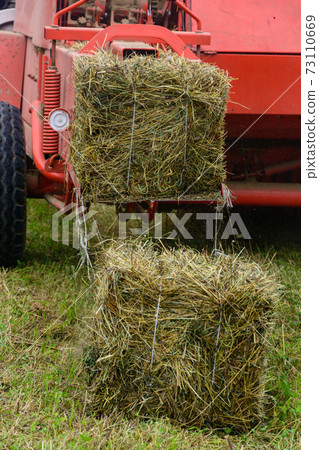 Old tractor in the field, forage harvesting for the winter, press and hay, pressing dry grass. Old tractor in the field, forage harvesting for the winter, press and hay, pressing dry grass. 73110669