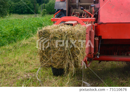 Pressing hay into bales, old working press, harvesting and harvesting dry fodder. 73110676