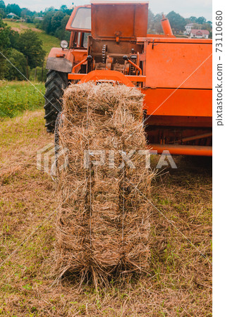 Pressing hay into bales, old working press, harvesting and harvesting dry fodder. 73110680