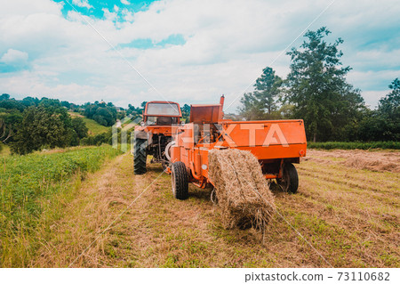 Pressing hay into bales, old working press, harvesting and harvesting dry fodder. Pressing hay into bales, old working press, harvesting and harvesting dry fodder. 73110682