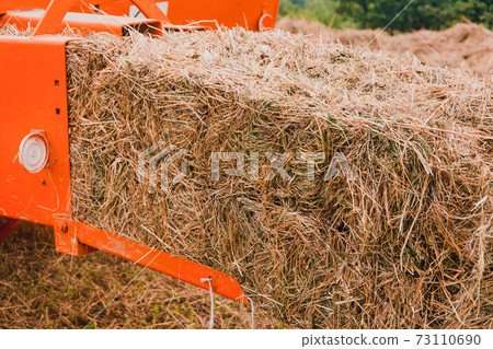 The process of harvesting hay for cattle, a tractor making bales in the field, old machinery. 73110690
