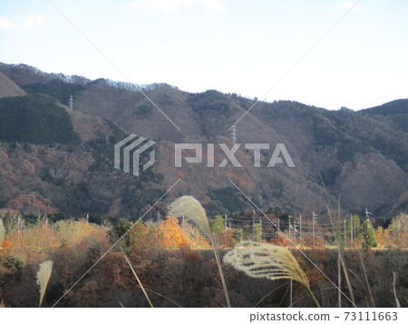 Distant view 73111663