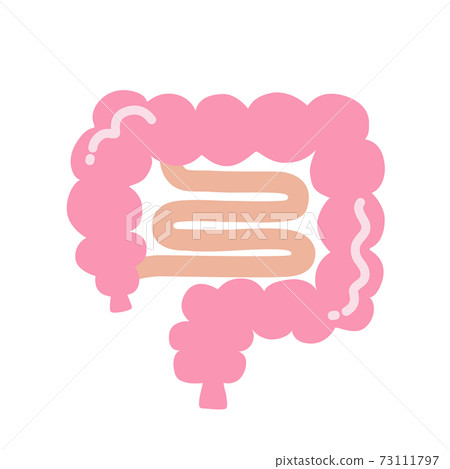 Normal intestine 73111797