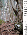 forest on Mount Tsukuba in Ibaraki prefecture, Japan 73112421