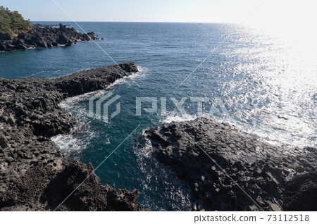 Jusangjeolli, Daepo-dong, Jungmun, Jeju Island 73112518