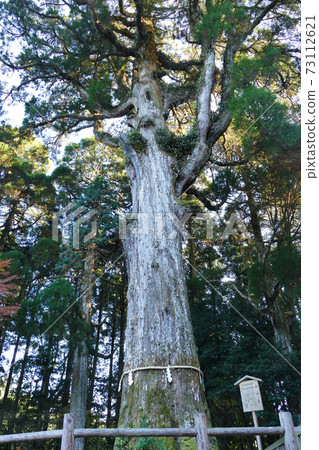 鹿兒島縣三木市霧島神宮 鹿兒島縣三木市霧島神宮 73112621