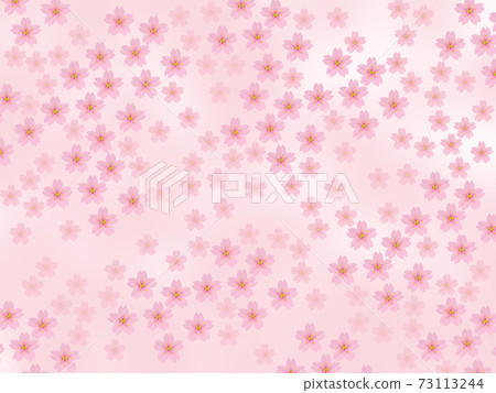 Background image material Spring cherry blossoms in full bloom (2_1) Background image material Spring cherry blossoms in full bloom (2_1) 73113244